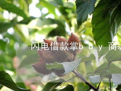 闪电借款掌buy商城逾期一天 闪电借款掌buy商城逾期一天