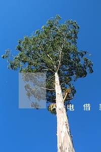 闪电借款最高逾期多少天 闪电借款最高逾期多少天