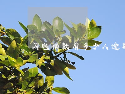 闪电借款有多少人逾期 闪电借款有多少人逾期