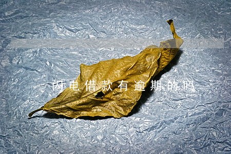 闪电借款有逾期的吗 闪电借款有逾期的吗