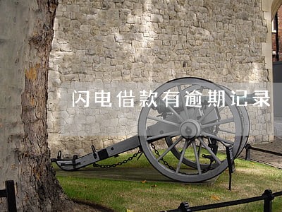 闪电借款有逾期记录