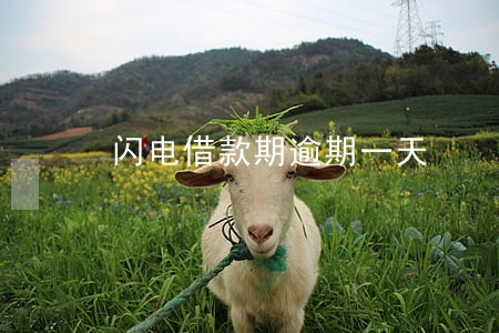 闪电借款期逾期一天 闪电借款期逾期一天