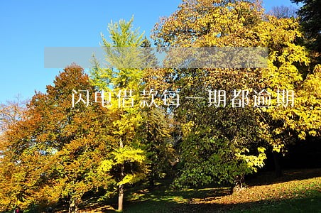 闪电借款每一期都逾期 闪电借款每一期都逾期