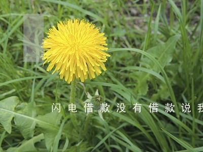闪电借款没有借款说我逾期 闪电借款没有借款说我逾期