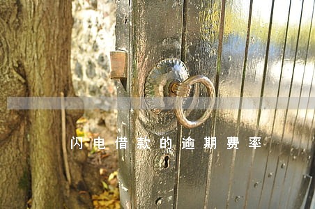 闪电借款的逾期费率 闪电借款的逾期费率