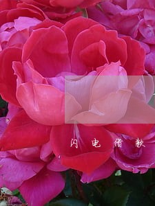 闪电借款突然收到短信别人逾期 闪电借款突然收到短信别人逾期