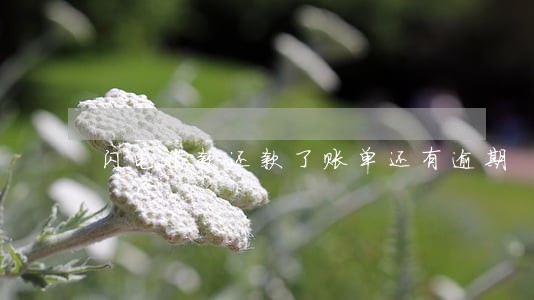 闪电借款还款了账单还有逾期