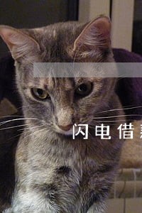 闪电借款逾期10年 闪电借款逾期10年
