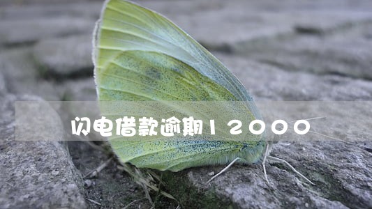 闪电借款逾期12000