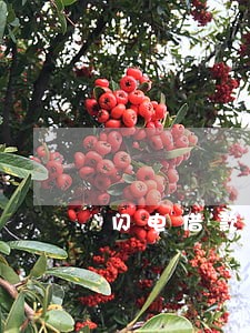 闪电借款逾期14天