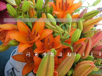 闪电借款逾期15000 闪电借款逾期15000
