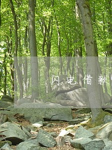 闪电借款逾期1天还可以再借吗 闪电借款逾期1天还可以再借吗