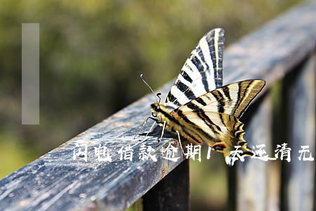 闪电借款逾期1天还清无法借款 闪电借款逾期1天还清无法借款