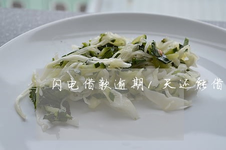 闪电借款逾期1天还能借吗 闪电借款逾期1天还能借吗