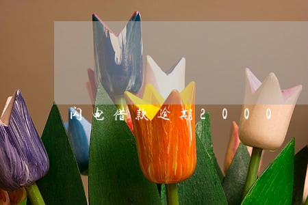闪电借款逾期2000