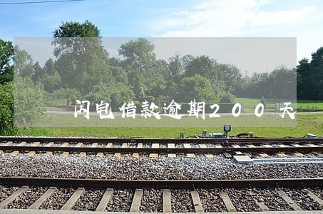 闪电借款逾期200天 闪电借款逾期200天