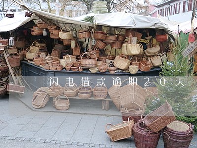 闪电借款逾期20天
