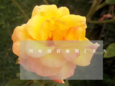 闪电借款逾期28天 闪电借款逾期28天