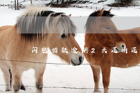 闪电借款逾期2天还清还能借吗 闪电借款逾期2天还清还能借吗