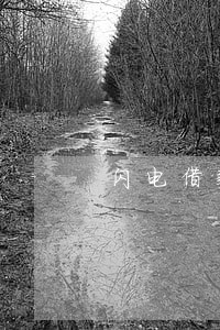 闪电借款逾期30多天 闪电借款逾期30多天