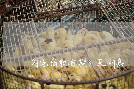闪电借款逾期3天利息 闪电借款逾期3天利息