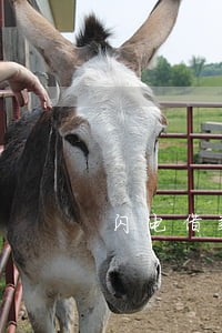 闪电借款逾期3天还能在借款吗 闪电借款逾期3天还能在借款吗