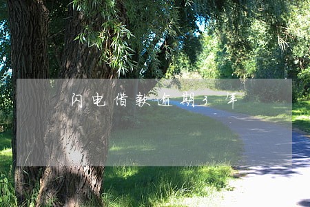 闪电借款逾期3年 闪电借款逾期3年