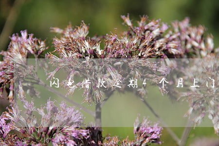 闪电借款逾期4个月上门 闪电借款逾期4个月上门