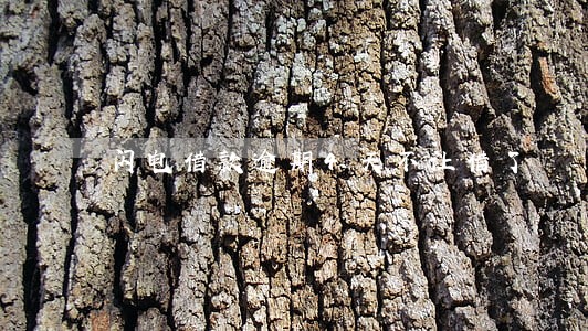 闪电借款逾期4天不让借了 闪电借款逾期4天不让借了