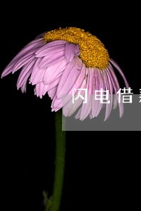 闪电借款逾期4天再借 闪电借款逾期4天再借