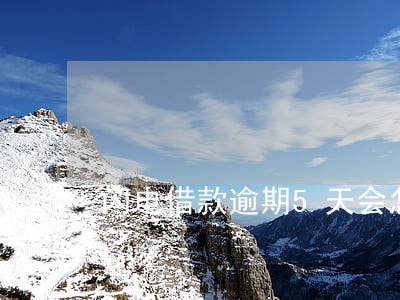 闪电借款逾期5天会怎么 闪电借款逾期5天会怎么