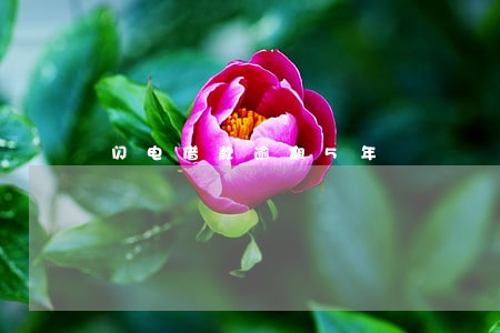 闪电借款逾期5年 闪电借款逾期5年
