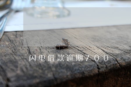 闪电借款逾期700 闪电借款逾期700