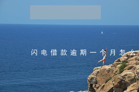 闪电借款逾期一个月怎么办 闪电借款逾期一个月怎么办