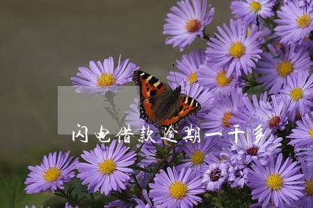 闪电借款逾期一千多 闪电借款逾期一千多