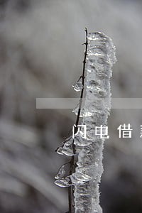 闪电借款逾期一天200快 闪电借款逾期一天200快