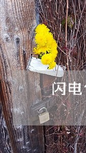 闪电借款逾期一天会催收吗 闪电借款逾期一天会催收吗