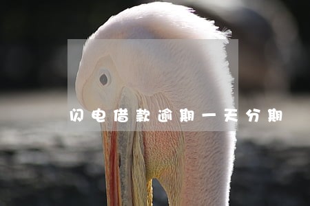 闪电借款逾期一天分期 闪电借款逾期一天分期