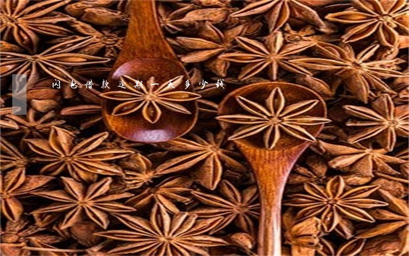 闪电借款逾期一天多少钱 闪电借款逾期一天多少钱