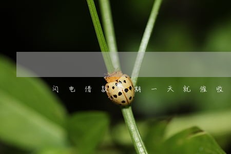 闪电借款逾期一天就催收 闪电借款逾期一天就催收
