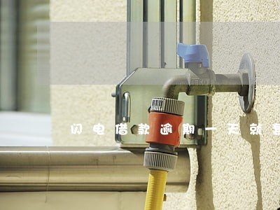 闪电借款逾期一天就套路 闪电借款逾期一天就套路