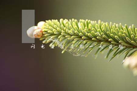 闪电借款逾期一天延期 闪电借款逾期一天延期