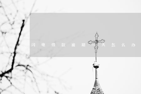 闪电借款逾期一天怎么办