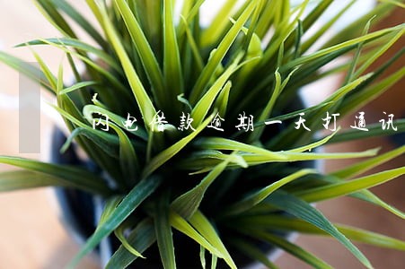 闪电借款逾期一天打通讯录吗
