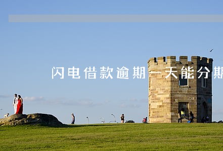 闪电借款逾期一天能分期吗 闪电借款逾期一天能分期吗
