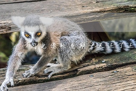 闪电借款逾期一天还了还能在借吗 闪电借款逾期一天还了还能在借吗