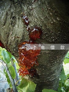 闪电借款逾期一天还可以在借吗 闪电借款逾期一天还可以在借吗