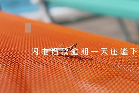 闪电借款逾期一天还能下款吗 闪电借款逾期一天还能下款吗