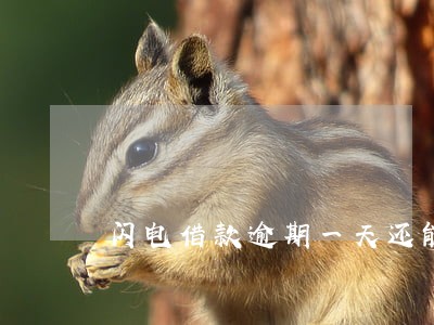 闪电借款逾期一天还能借出来么 闪电借款逾期一天还能借出来么