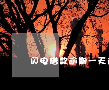 闪电借款逾期一天降额度